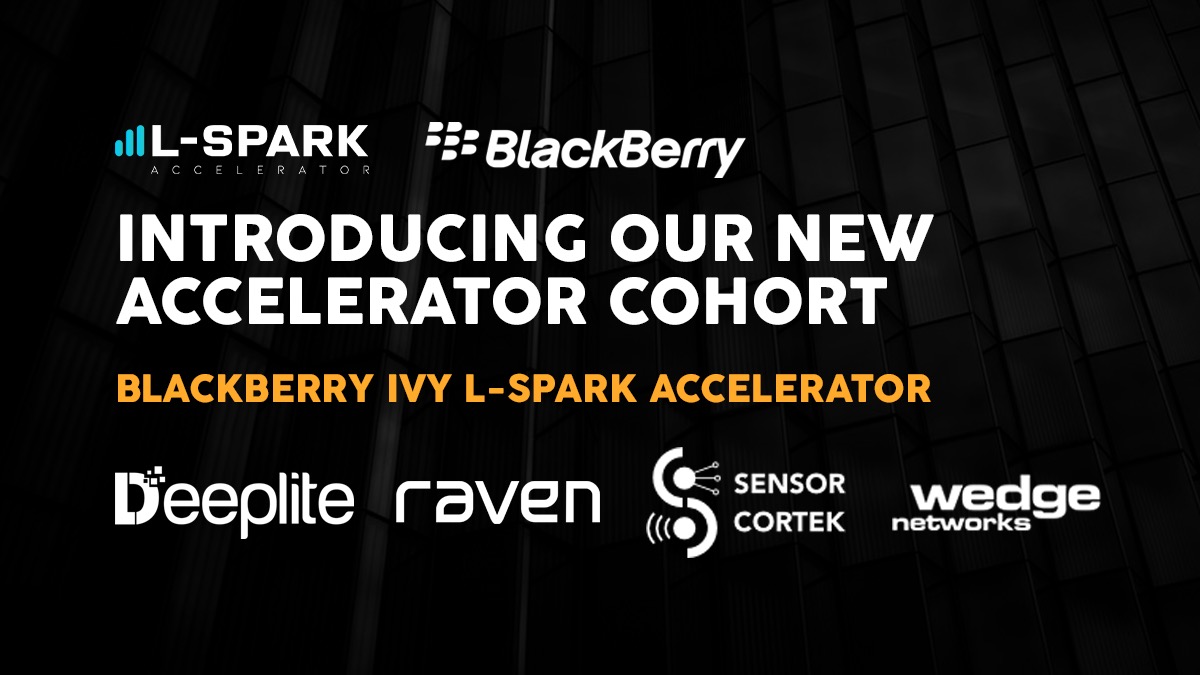 Blackberry Ivy L-Spark Accelerator